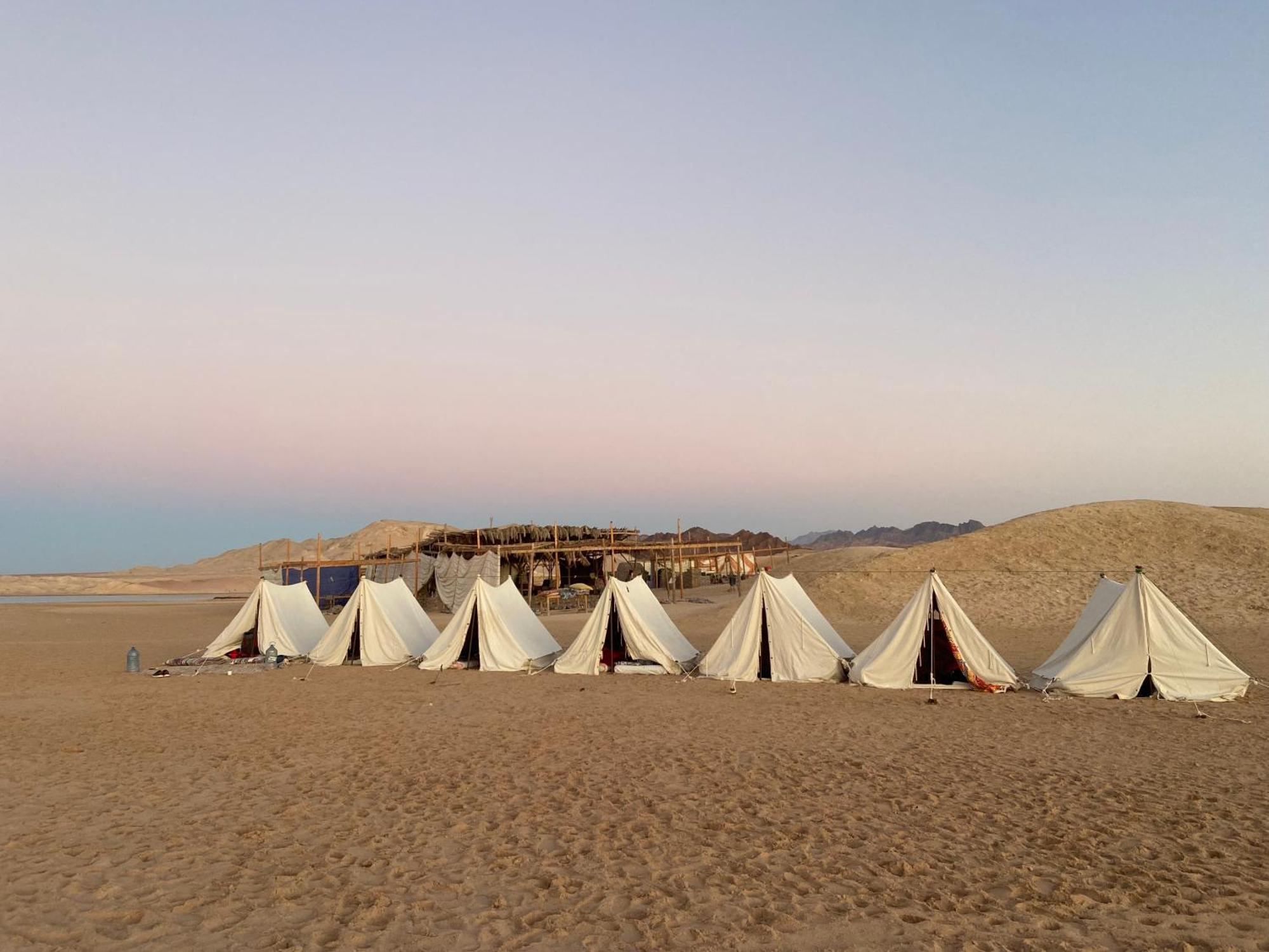 Camping Blend In Nature Camp