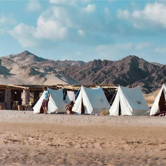 In The Heart Of Sinai, Blend In Nature Beach View Camp * Шарм-еш-Шейх
